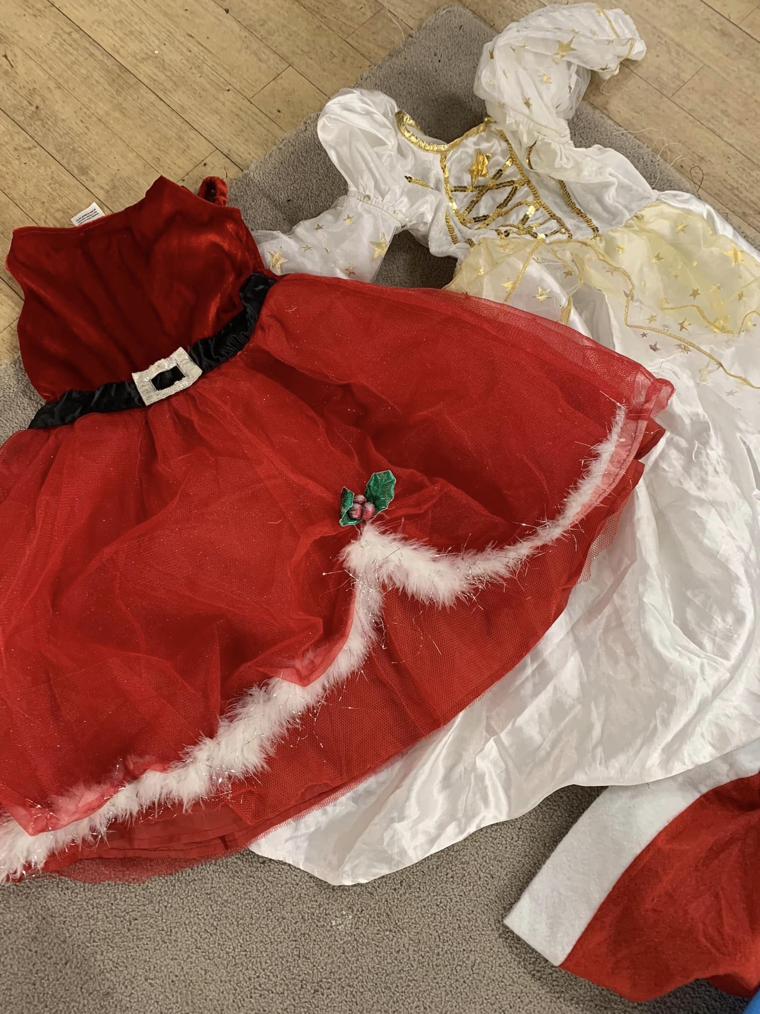 Christmas dressing up.jpg
